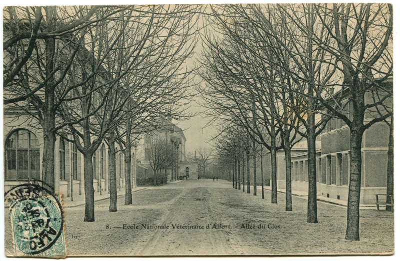 Carte postale ancienne Alfort CP23