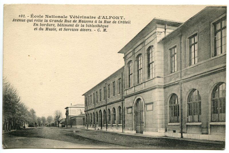 Carte postale ancienne Alfort CP24