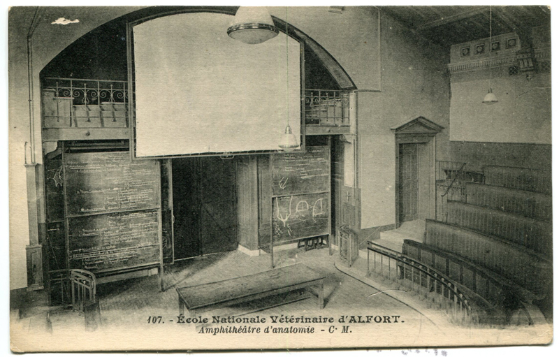 Carte postale ancienne Alfort CP28