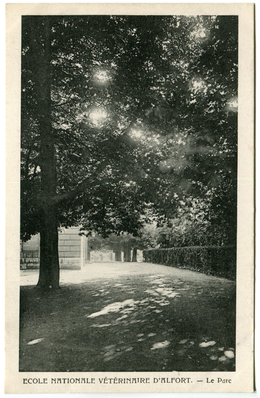 Carte postale ancienne Alfort CP30
