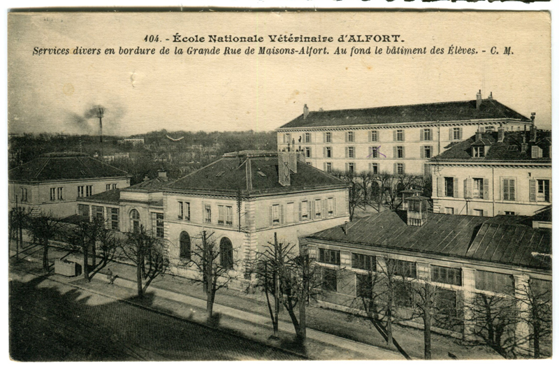 Carte postale ancienne Alfort CP32