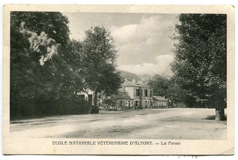 Carte postale ancienne Alfort CP37