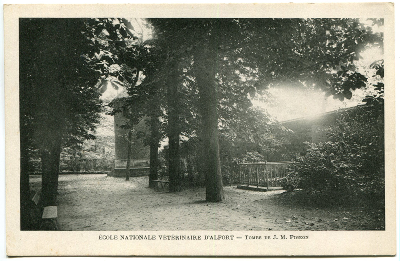 Carte postale ancienne Alfort CP42