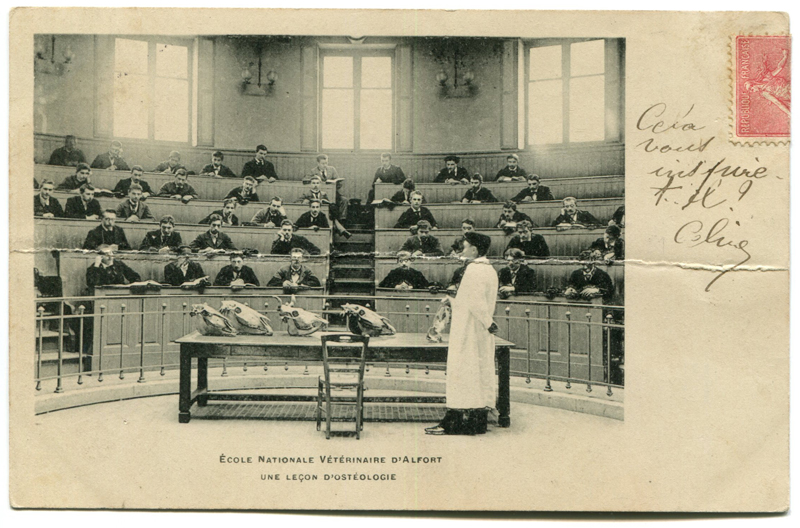 Carte postale ancienne Alfort CP44