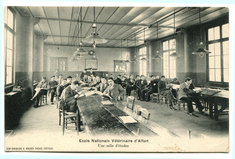 Carte postale ancienne Alfort CP46