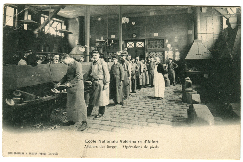 Carte postale ancienne Alfort CP48