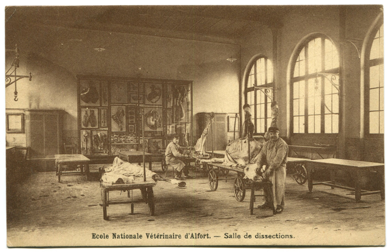 Carte postale ancienne Alfort CP50