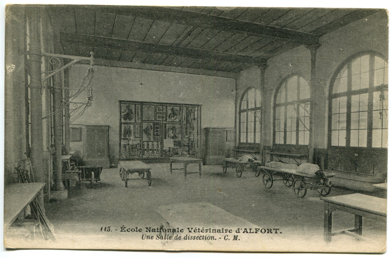 Carte postale ancienne Alfort CP52