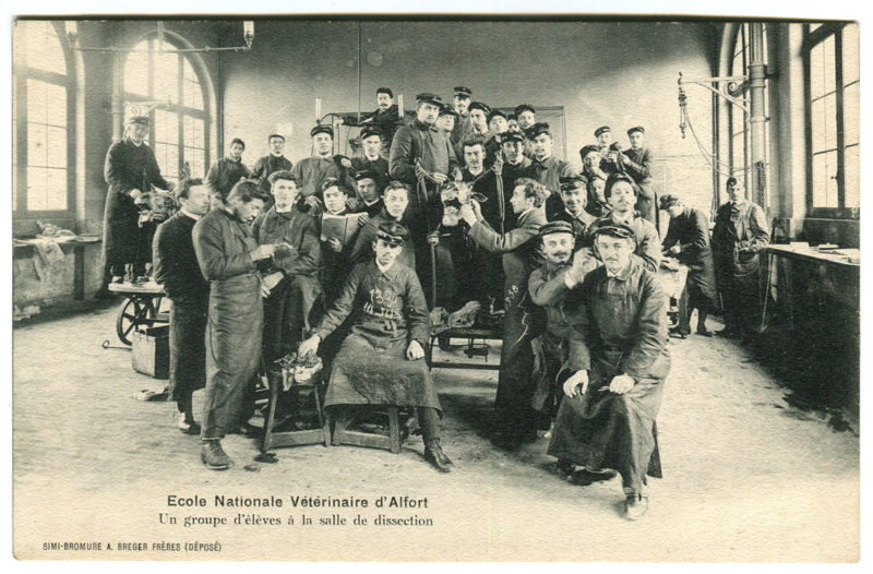 Carte postale ancienne Alfort CP55