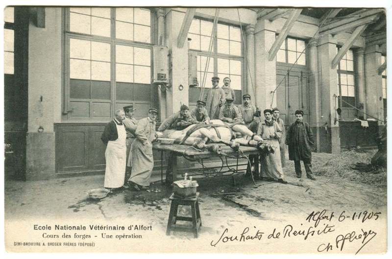 Carte postale ancienne Alfort CP56
