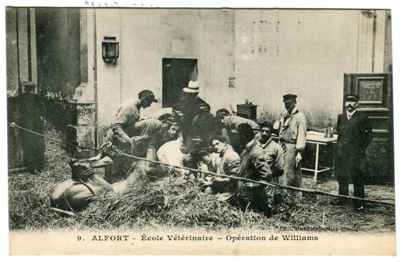 Carte postale ancienne Alfort CP58