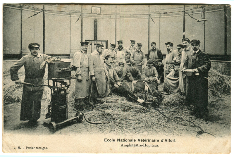 Carte postale ancienne Alfort CP59