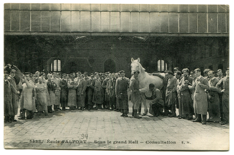 Carte postale ancienne Alfort CP62