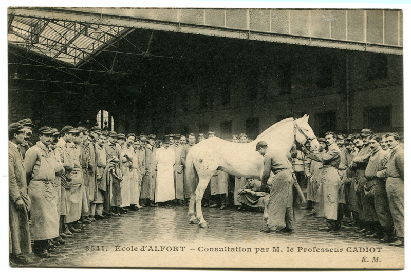 Carte postale ancienne Alfort CP63