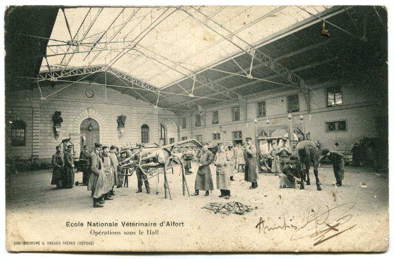 Carte postale ancienne Alfort CP64
