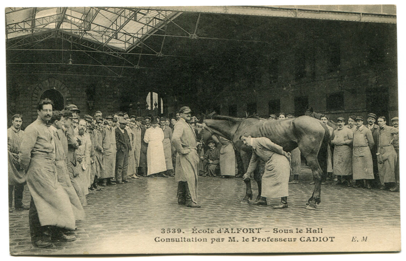 Carte postale ancienne Alfort CP65