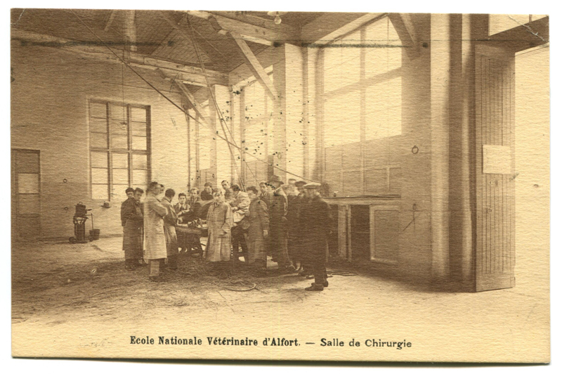 Carte postale ancienne Alfort CP68