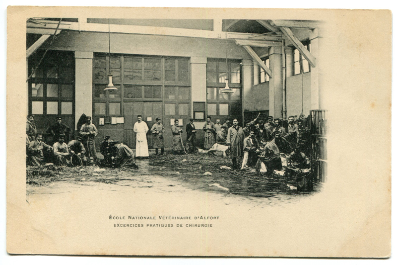 Carte postale ancienne Alfort CP70