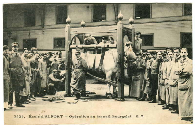 Carte postale ancienne Alfort CP71