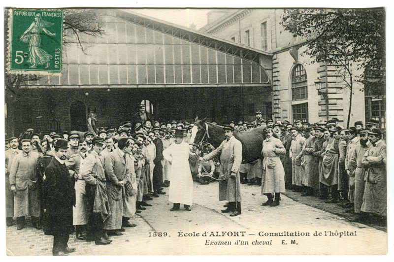 Carte postale ancienne Alfort CP72