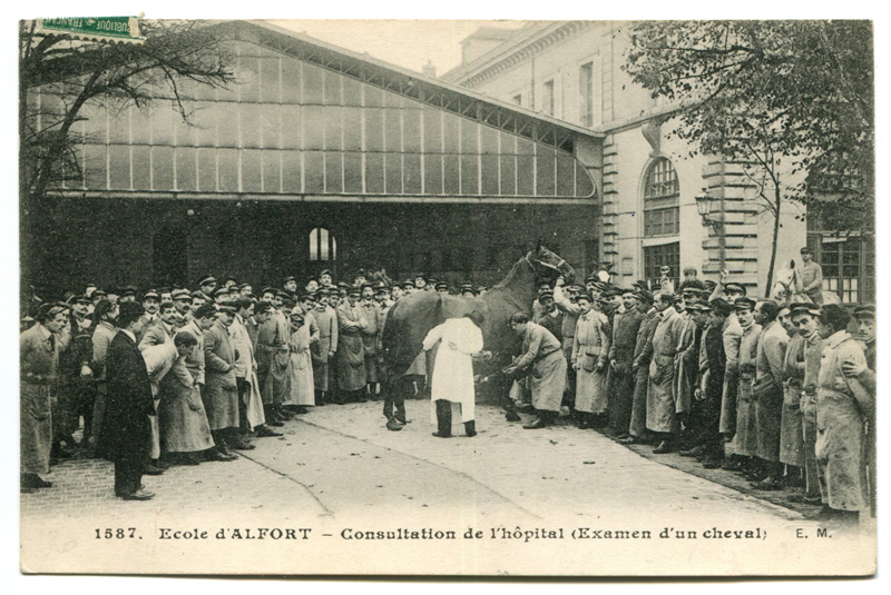 Carte postale ancienne Alfort CP74