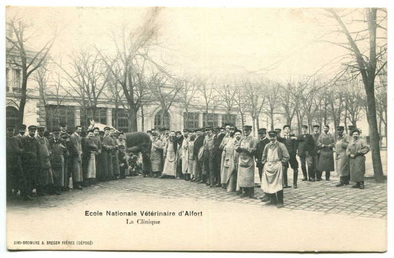 Carte postale ancienne Alfort CP75
