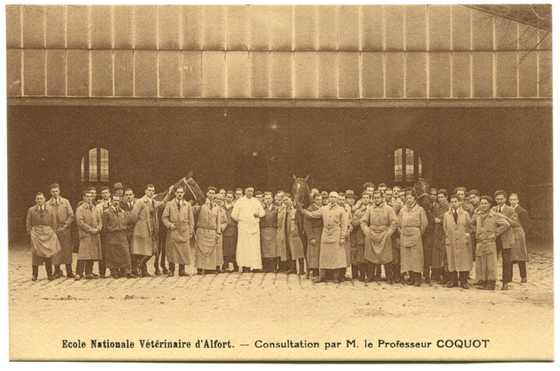 Carte postale ancienne Alfort CP77
