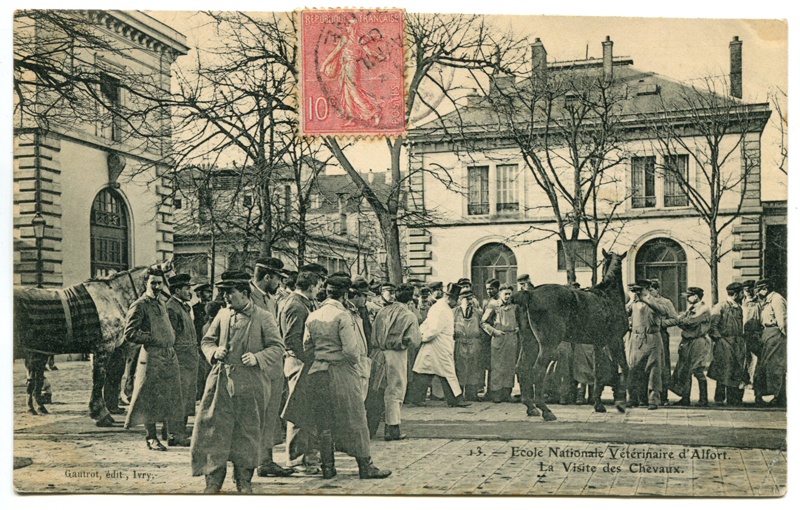 Carte postale ancienne Alfort CP78