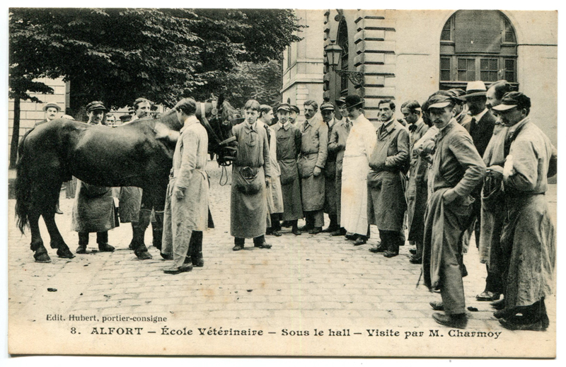 Carte postale ancienne Alfort CP79