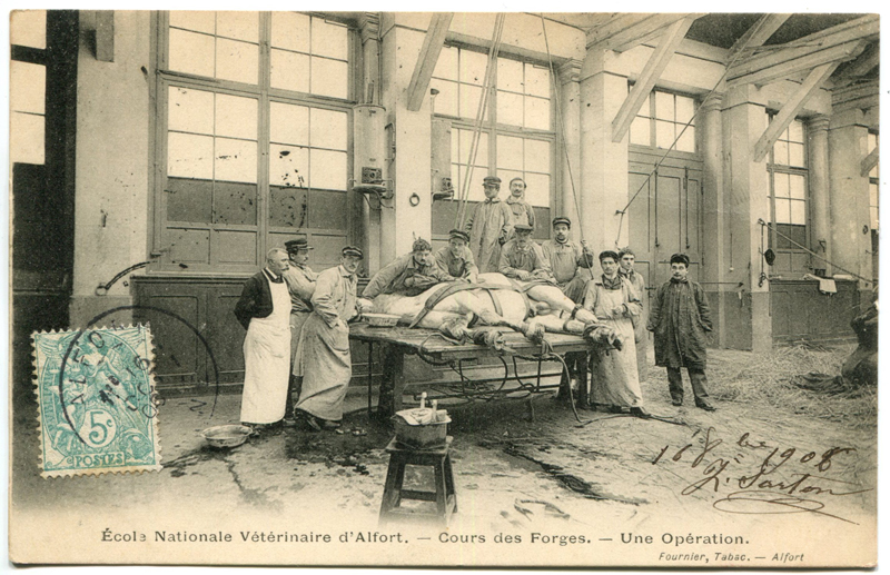 Carte postale ancienne Alfort CP81