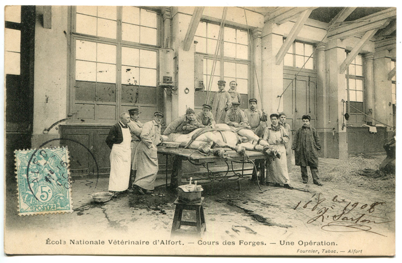 Carte postale ancienne Alfort CP82