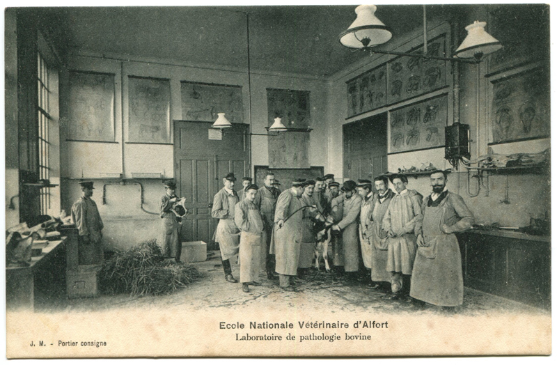 Carte postale ancienne Alfort CP85