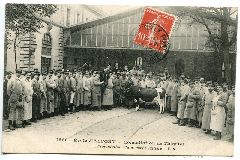 Carte postale ancienne Alfort CP87