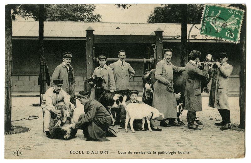 Carte postale ancienne Alfort CP88