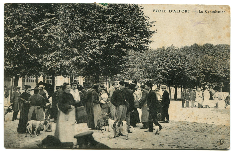 Carte postale ancienne Alfort CP90