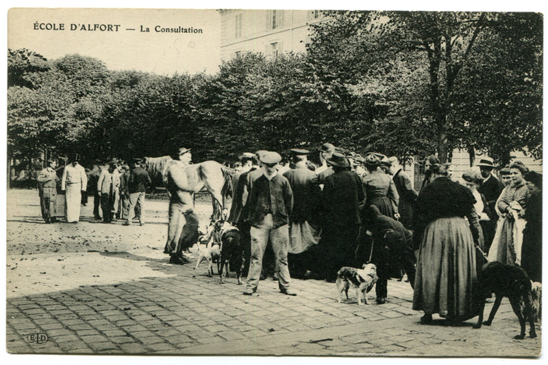 Carte postale ancienne Alfort CP91