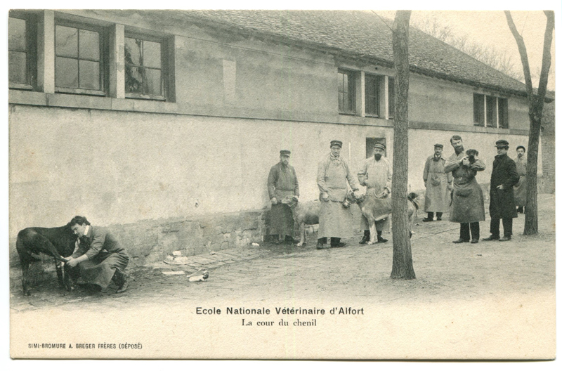 Carte postale ancienne Alfort CP92