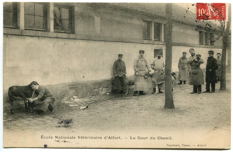 Carte postale ancienne Alfort CP93