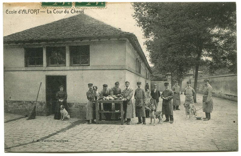 Carte postale ancienne Alfort CP95
