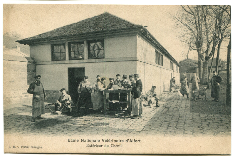 Carte postale ancienne Alfort CP96