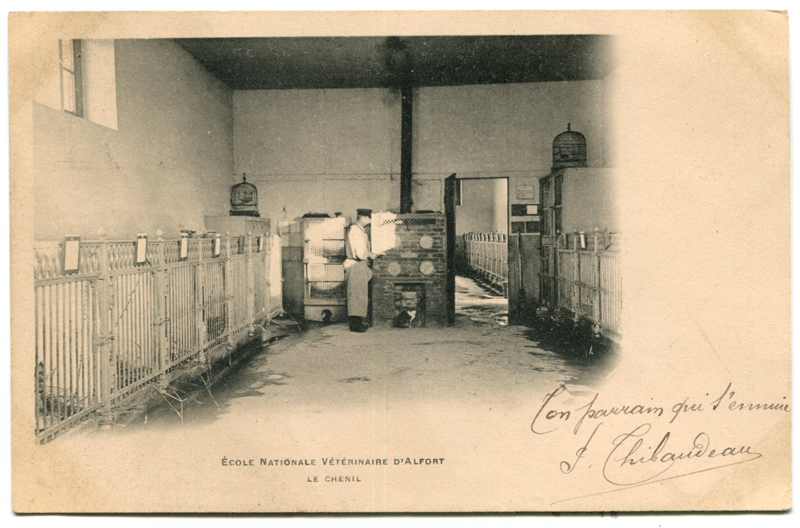 Carte postale ancienne Alfort CP97