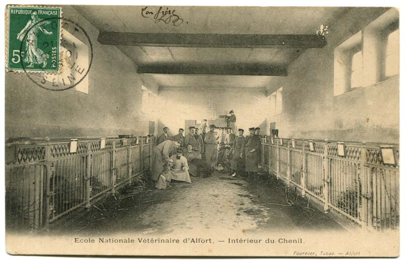 Carte postale ancienne Alfort CP98