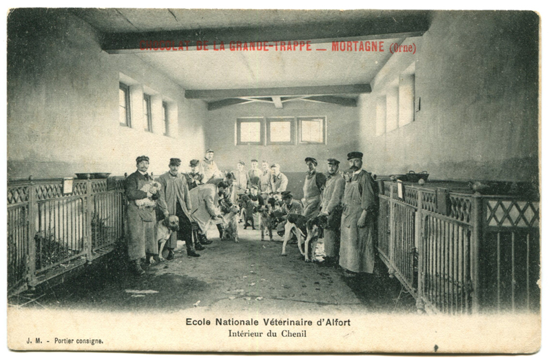 Carte postale ancienne Alfort CP99