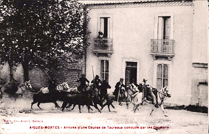 Carte postale ancienne Abrivado Aigues-Mortes