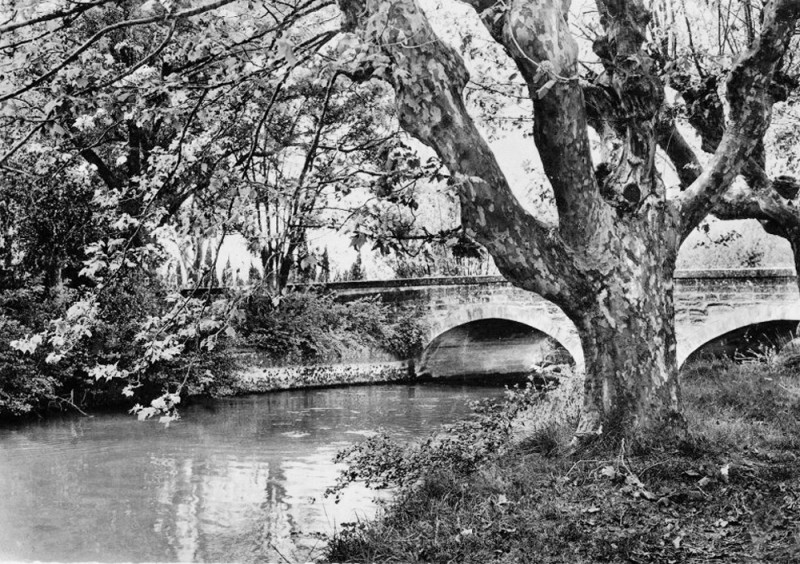 Carte postale ancienne Althen-les-Paluds Pont des Vaches