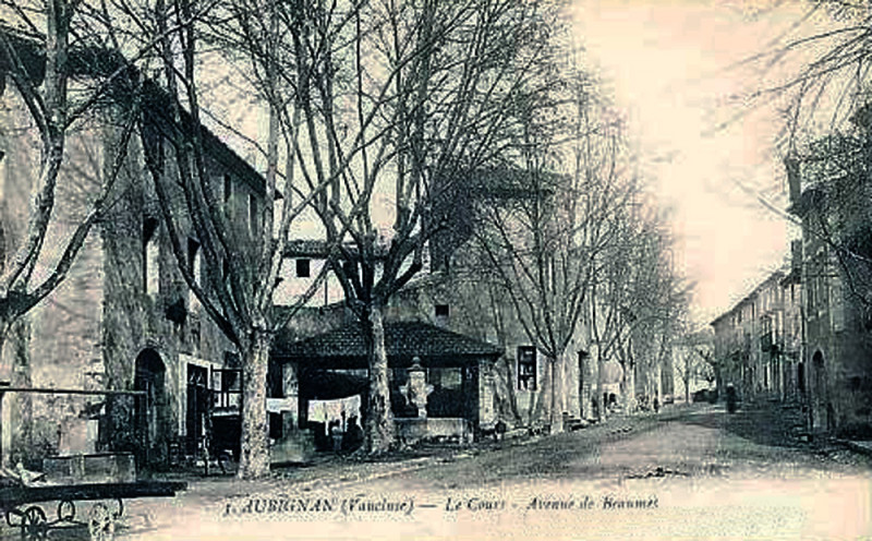 Carte postale ancienne Aubignan avenue de Beaumes