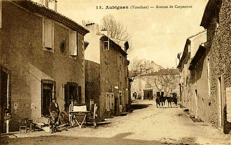Carte postale ancienne Aubignan avenue de Carpentras