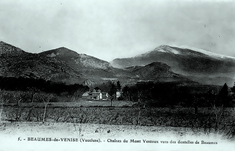 Carte postale ancienne Beaumes Mas viticole Dentelles et Ventoux