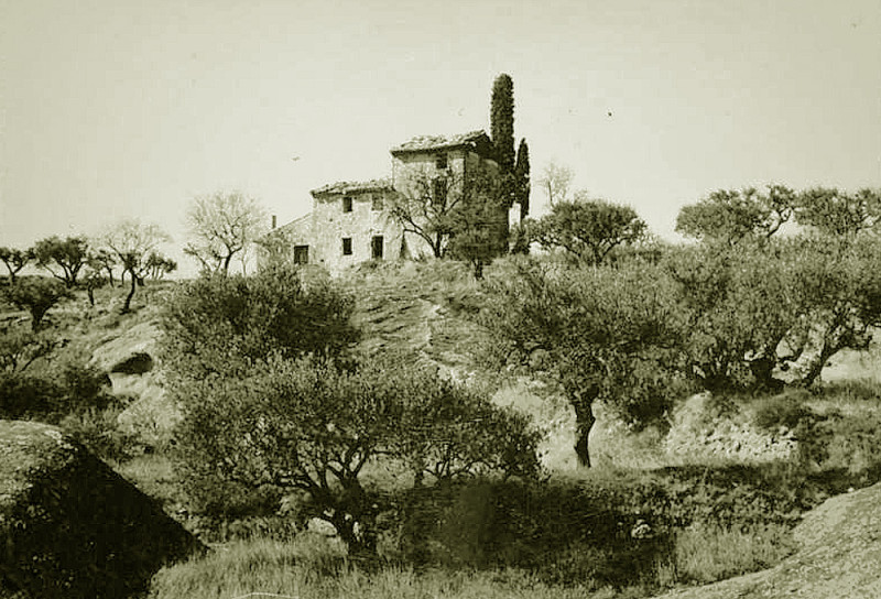 Carte postale ancienne Beaumes Oliviers sur restanques