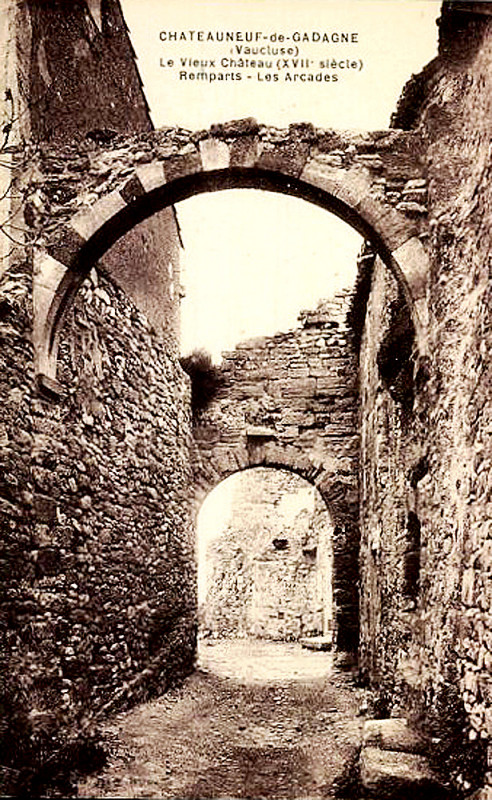 Carte postale ancienne Chateauneuf-de-Gadagne Le vieux château, les remparts et les arcades